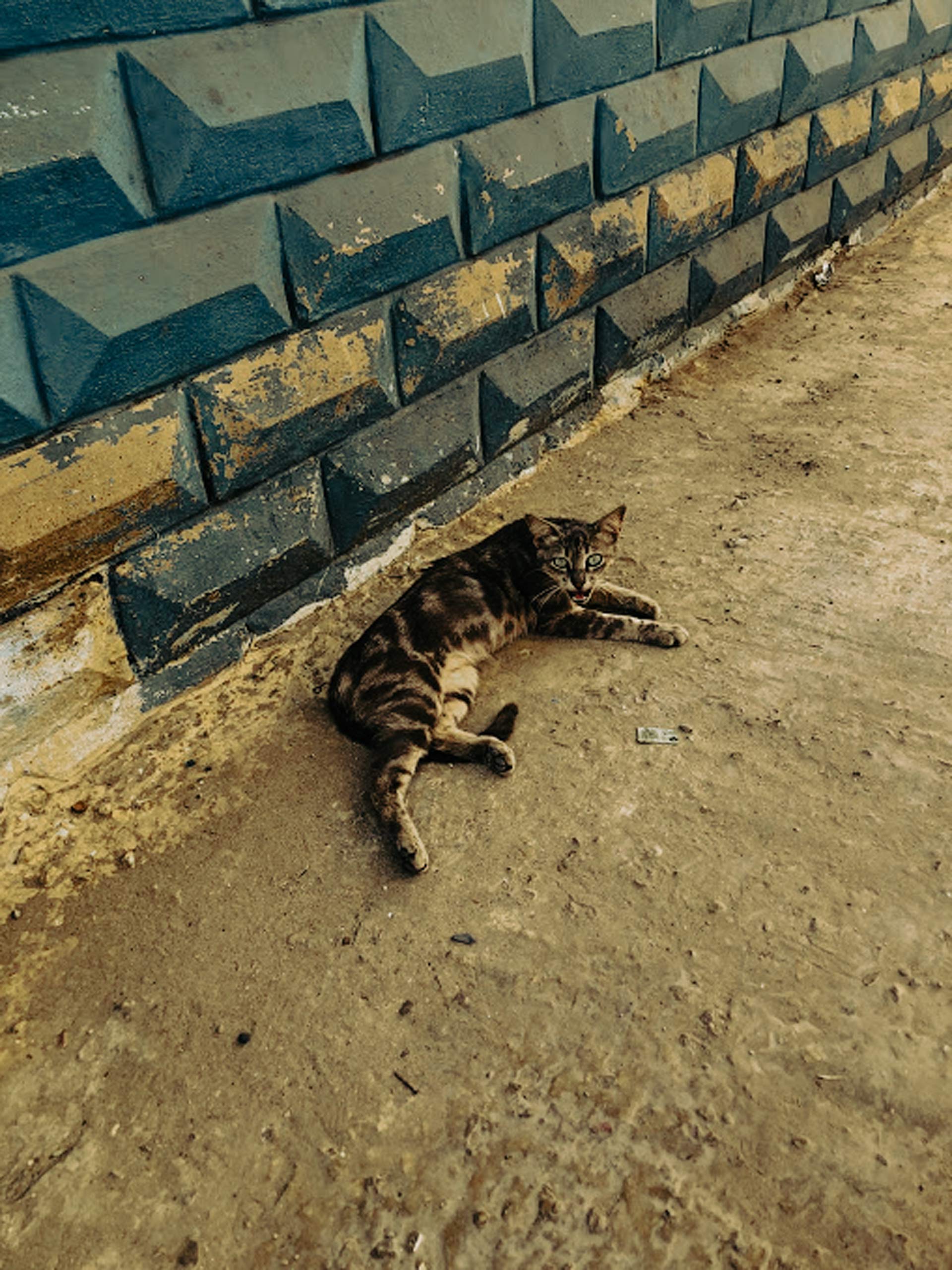 Tetouan